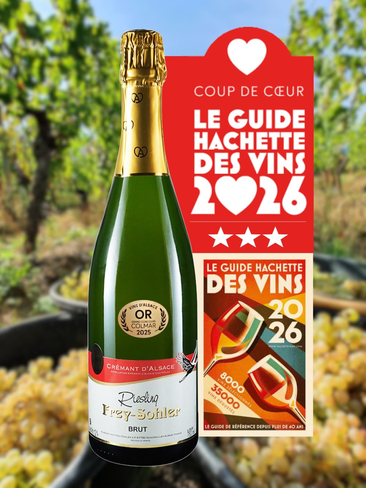 Alsace Frey-Sohler