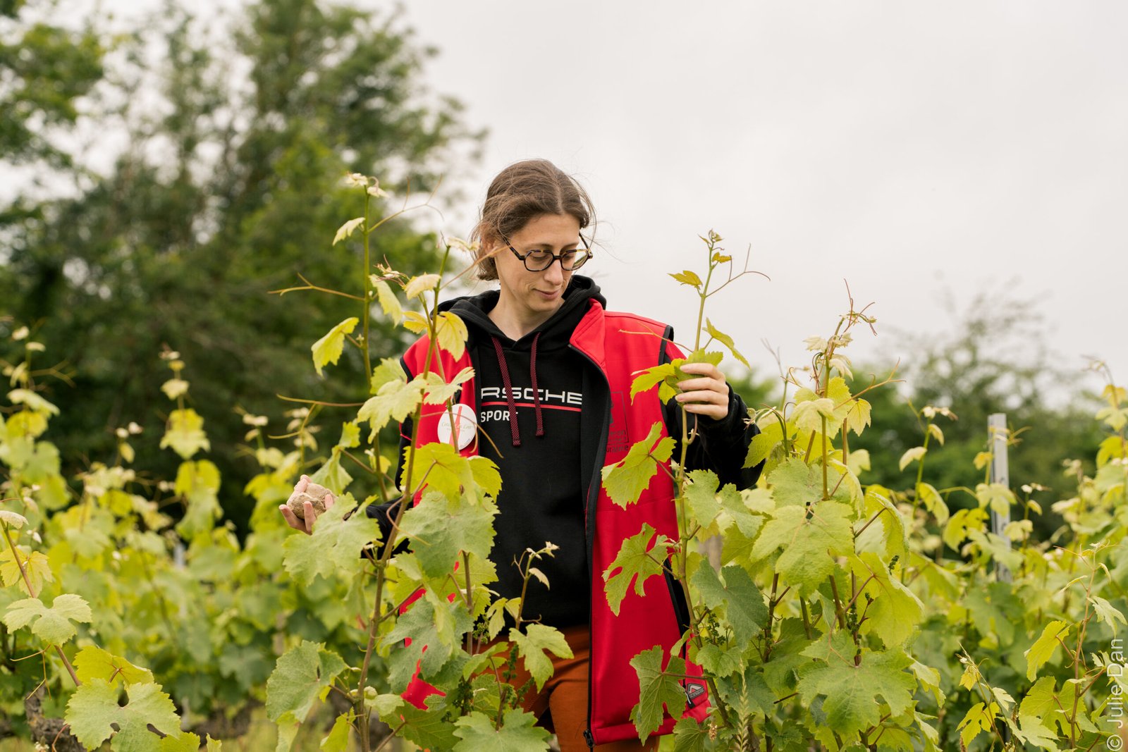 Domaine de Cézin