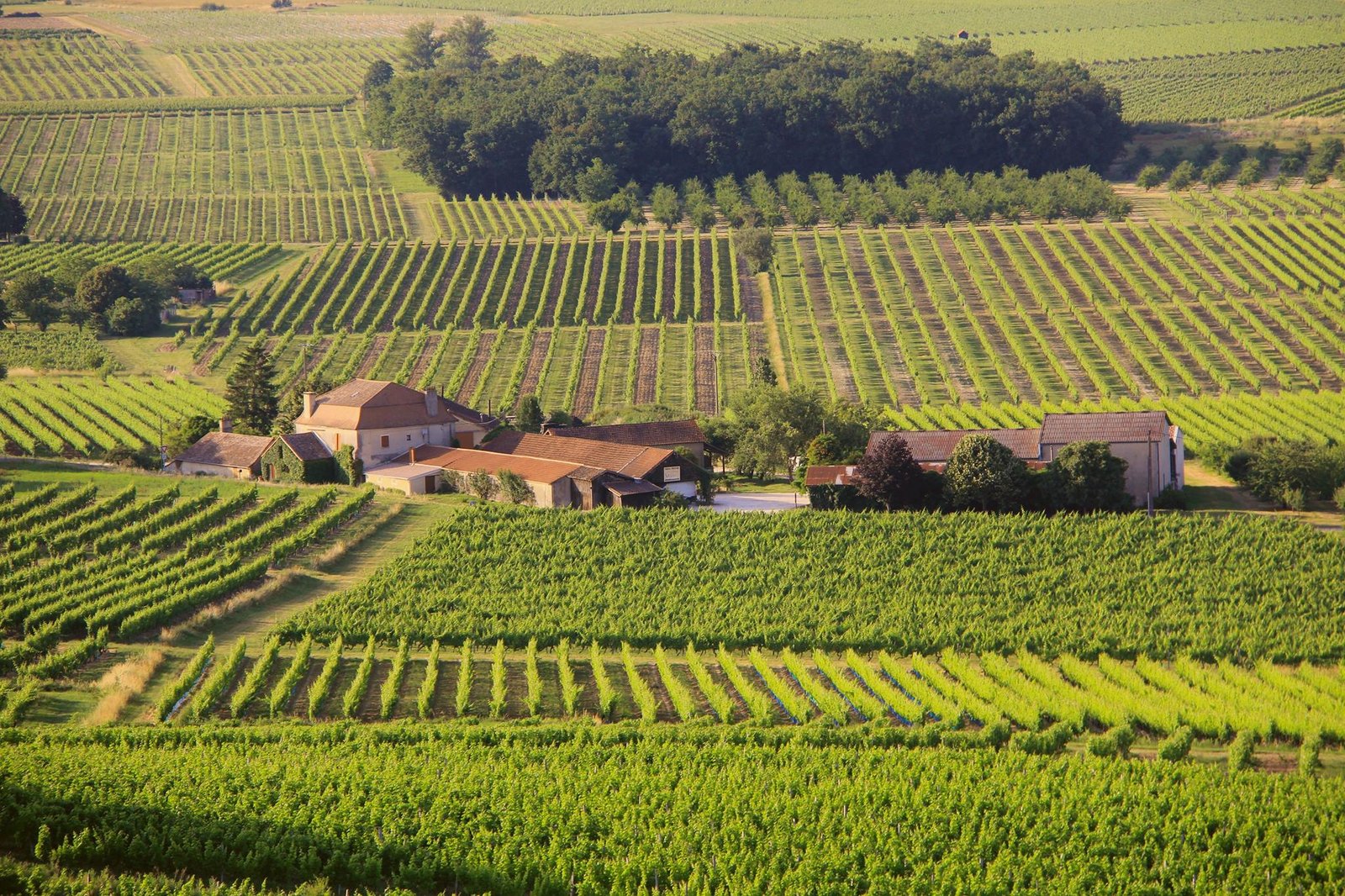 Château Poulvère