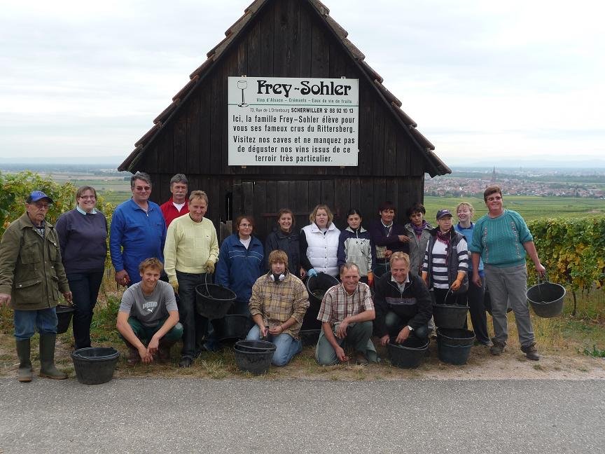 Alsace Frey-Sohler