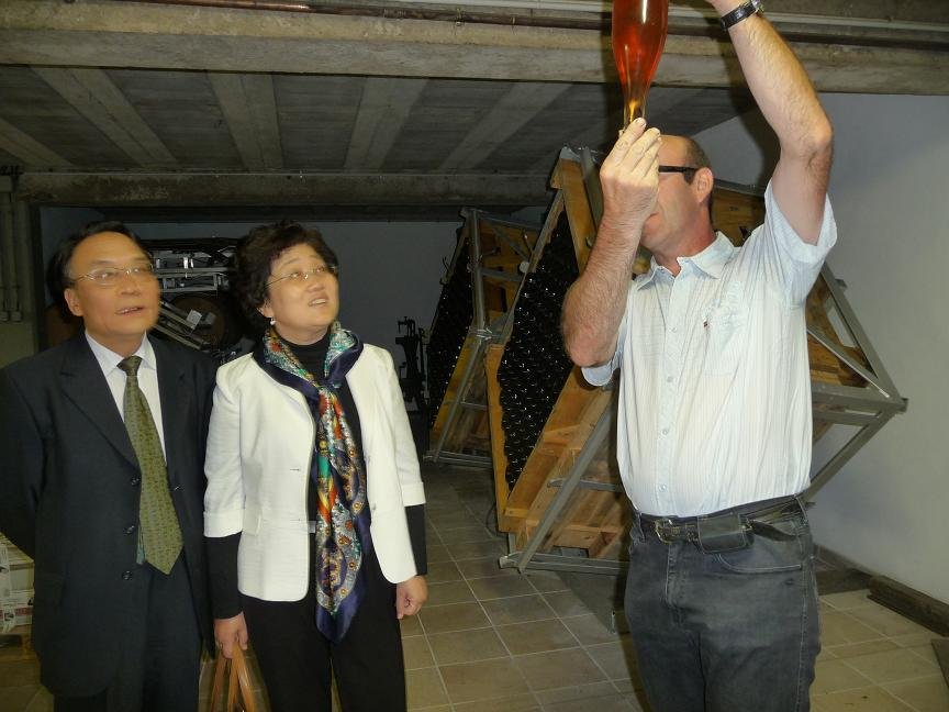 Alsace Frey-Sohler