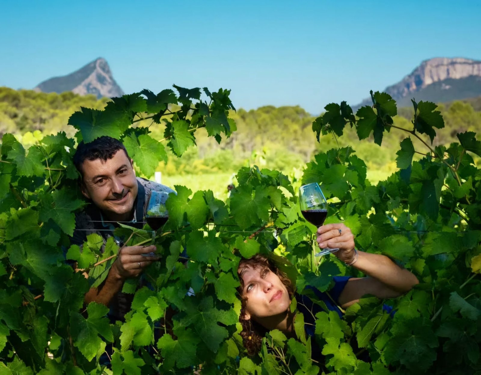 Le Clos des Augustins