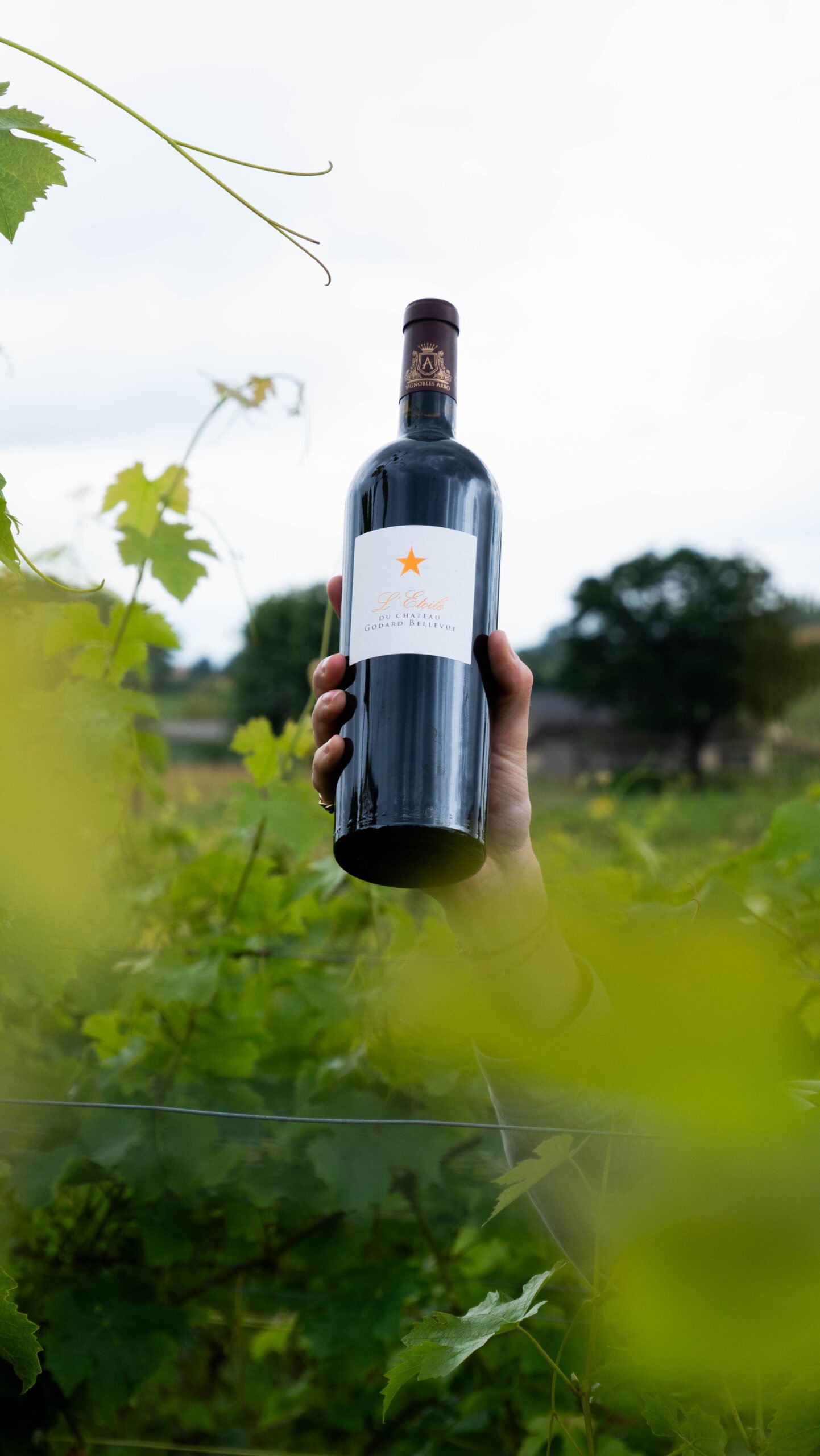 Vignobles Arbo - Côtes de Bordeaux HVE