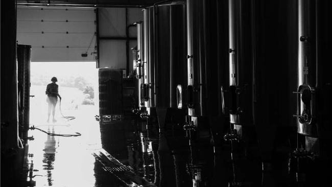 Vignobles Arbo - Côtes de Bordeaux HVE