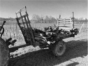 Vignobles Arbo - Côtes de Bordeaux HVE