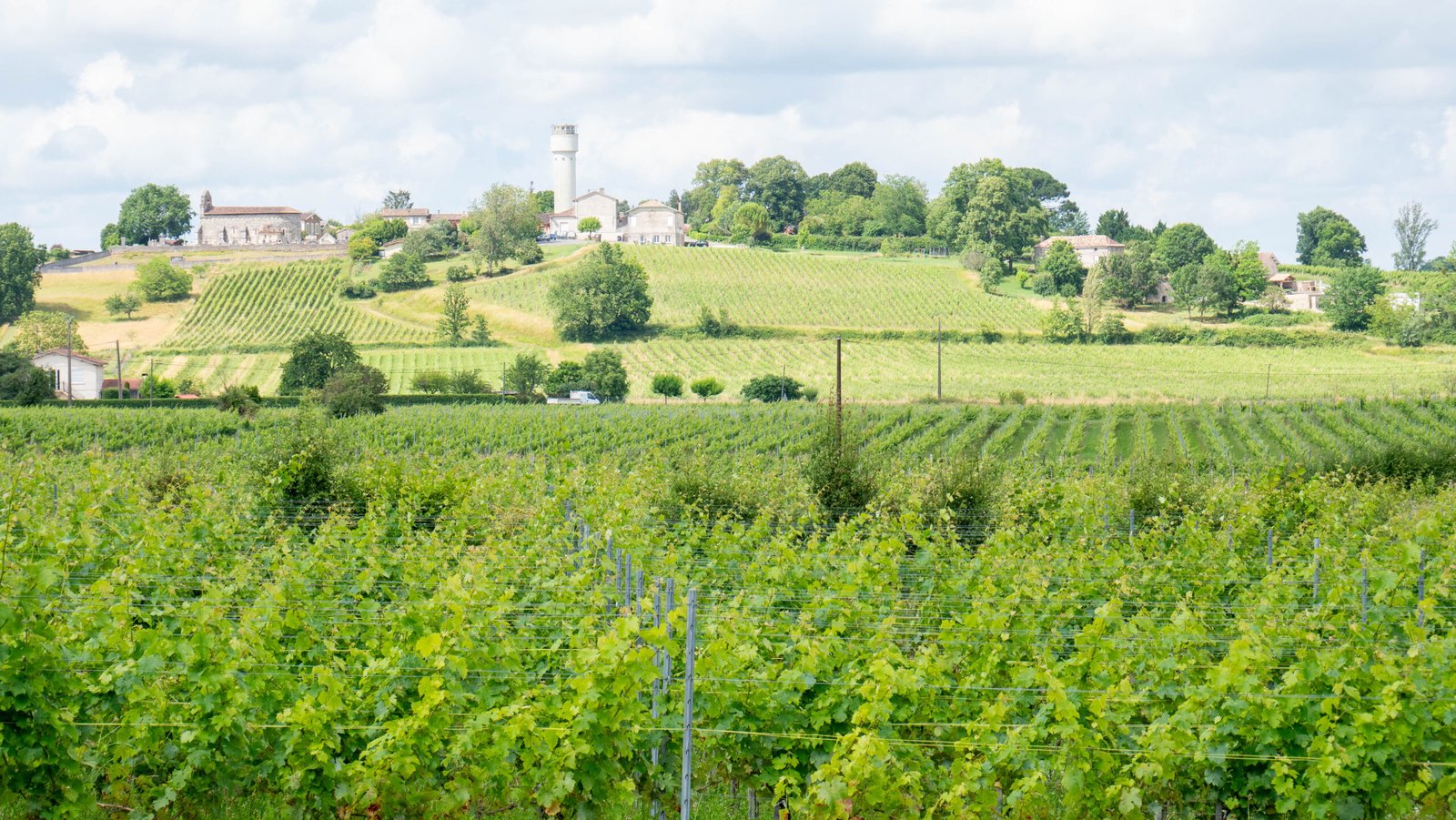 Vignobles Arbo - Côtes de Bordeaux HVE