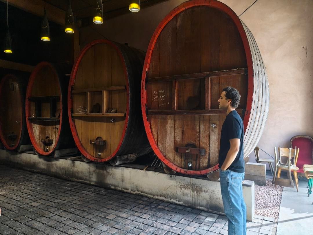 Foudres en bois du Domaine Achillée