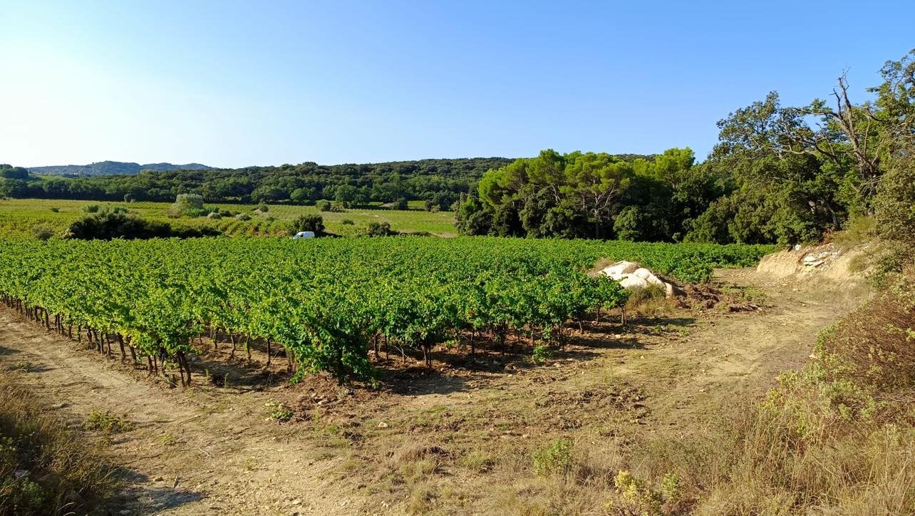 Les Deux Pins - Tavel Lirac