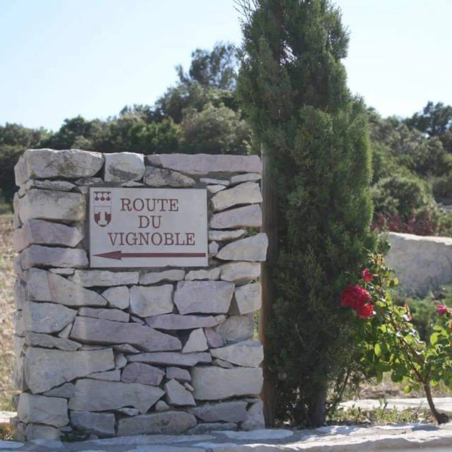 Les Deux Pins - Tavel Lirac