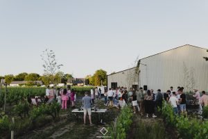 Soirée dans les vignes du Domaine de l'Aurée