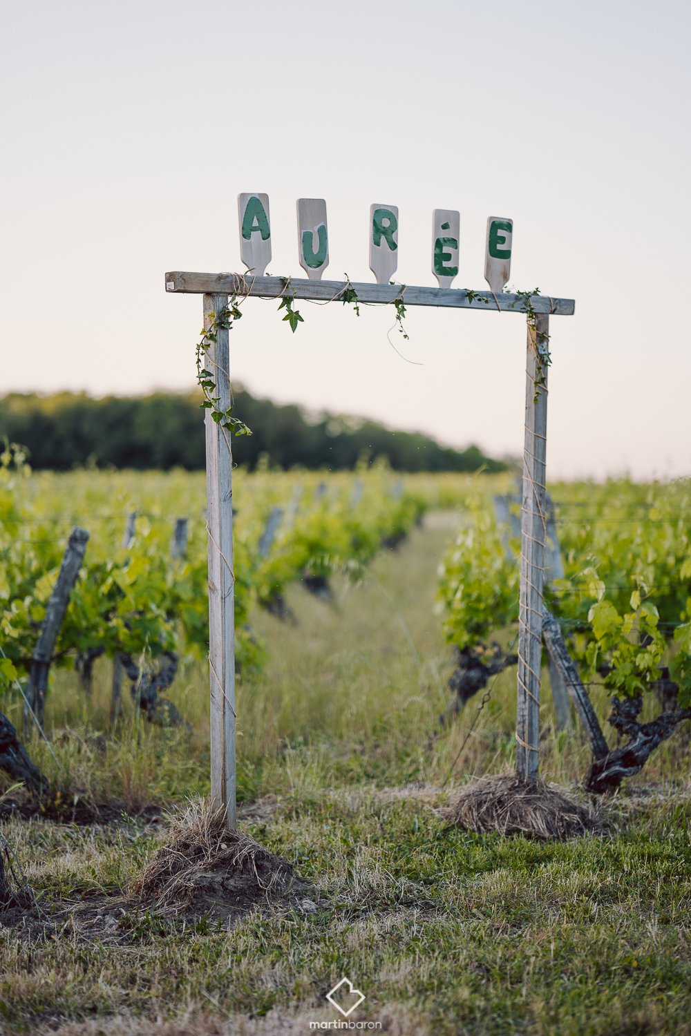 Panneau AURÉE dans les vignes de Saumur Champigny