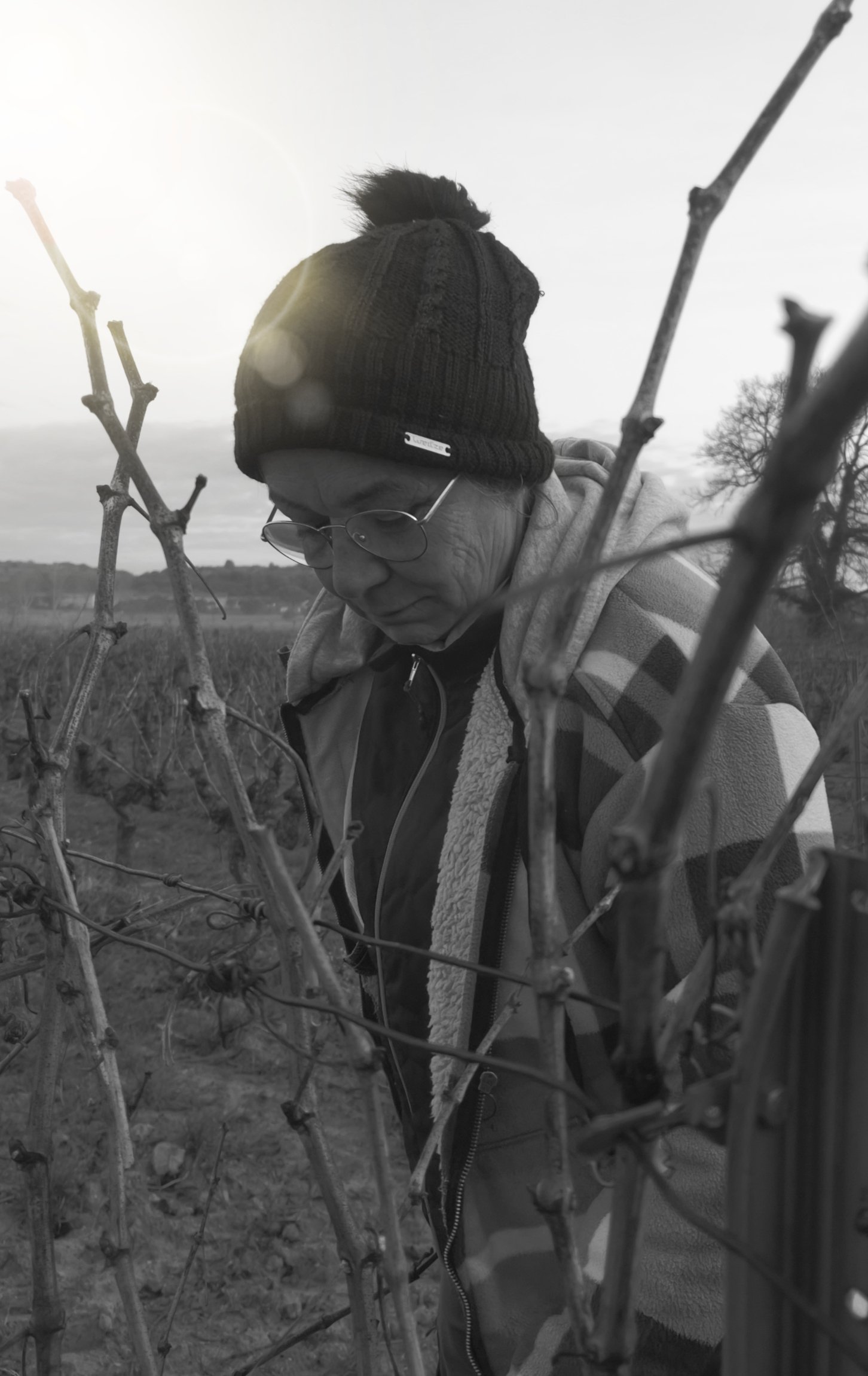 Simona Paly dans les vignes