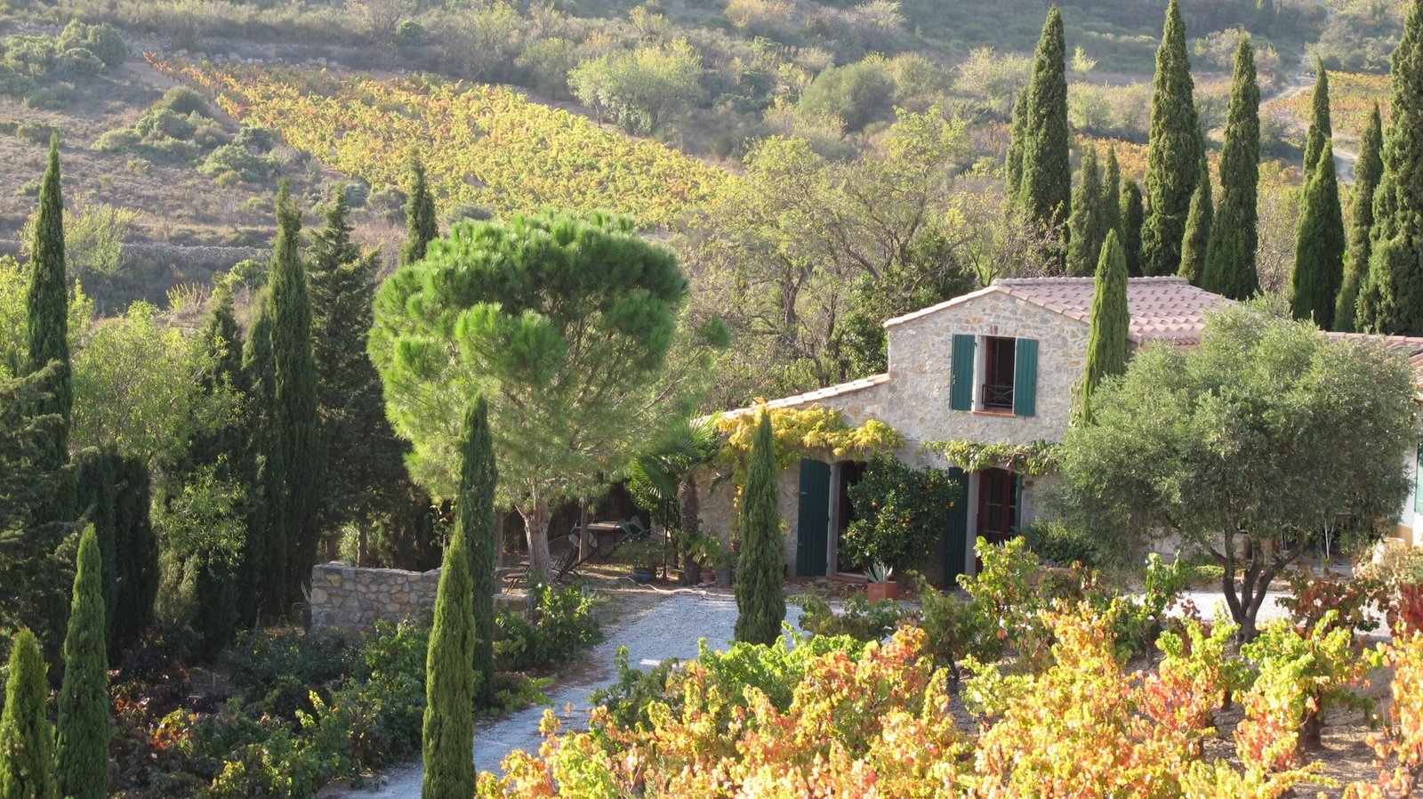 Domaine Sarrat d'en Sol - Vin HVE Corbières Languedoc