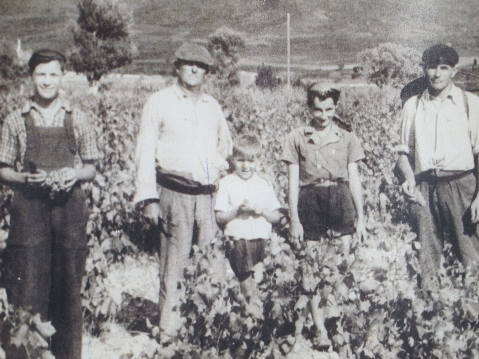 Domaine Sarrat d'en Sol - Vin HVE Corbières Languedoc