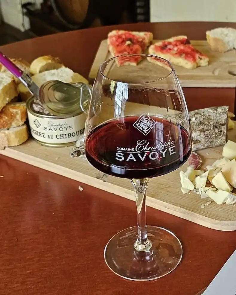 Domaine Christophe Savoye - Beaujolais Chiroubles HVE