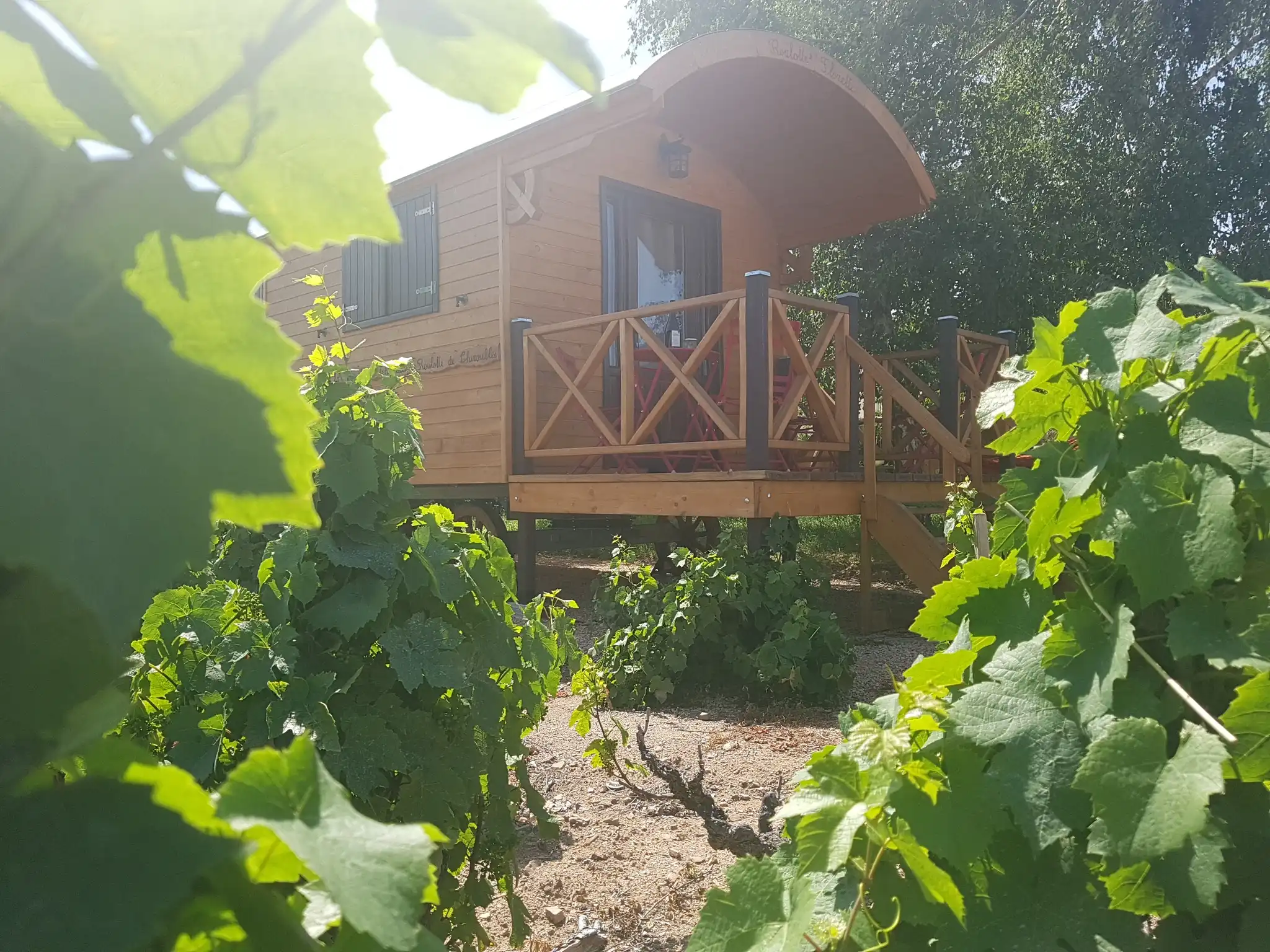 Domaine Christophe Savoye - Beaujolais Chiroubles HVE