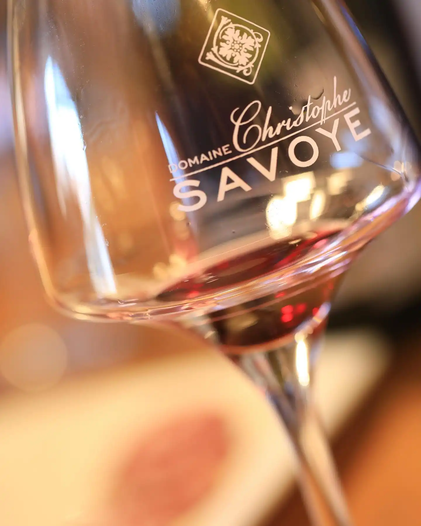 Domaine Christophe Savoye - Beaujolais Chiroubles HVE