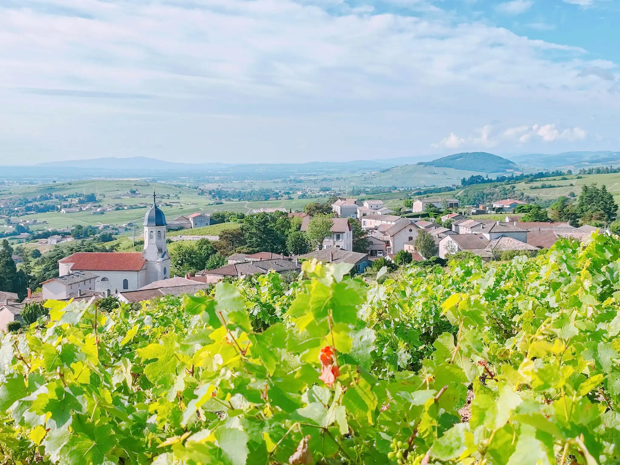 Domaine Christophe Savoye - Beaujolais Chiroubles HVE
