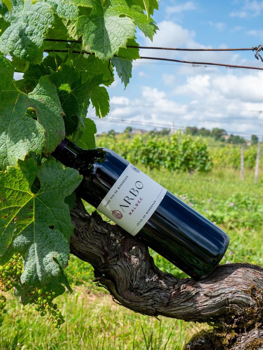 Vignobles Arbo - Côtes de Bordeaux HVE