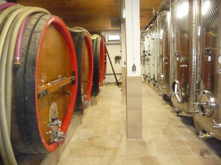 Alsace Frey-Sohler
