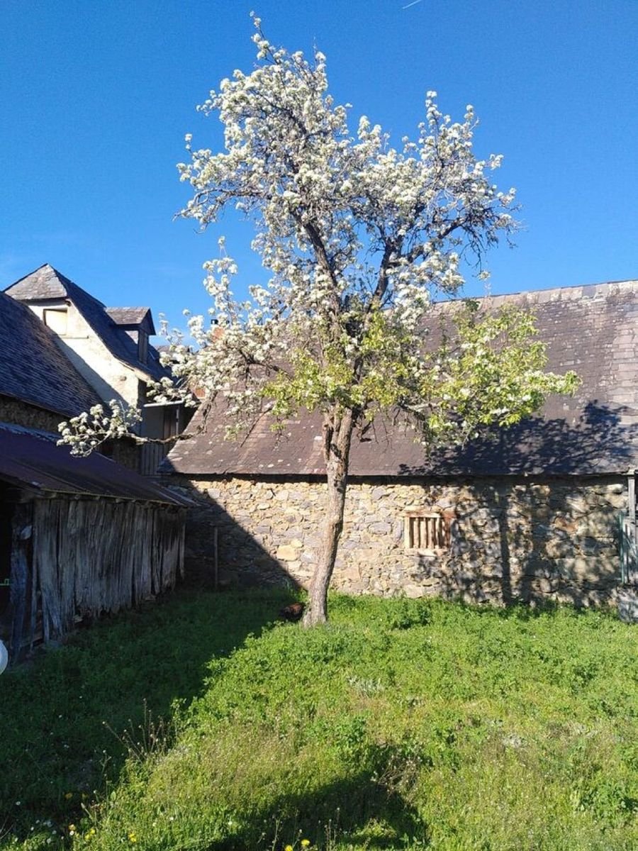 Les Cidres Gayouth — photo 3
