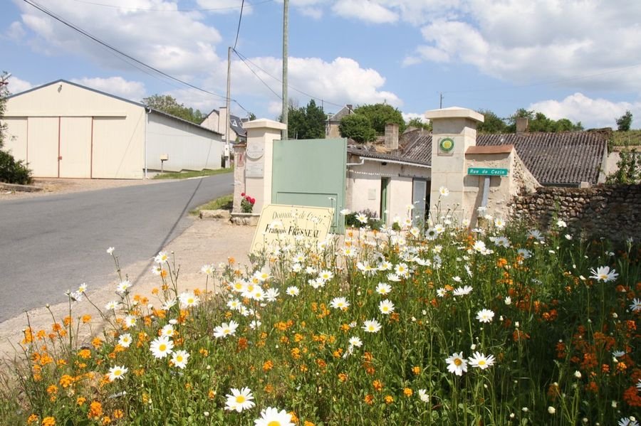 Domaine de Cézin — photo 6