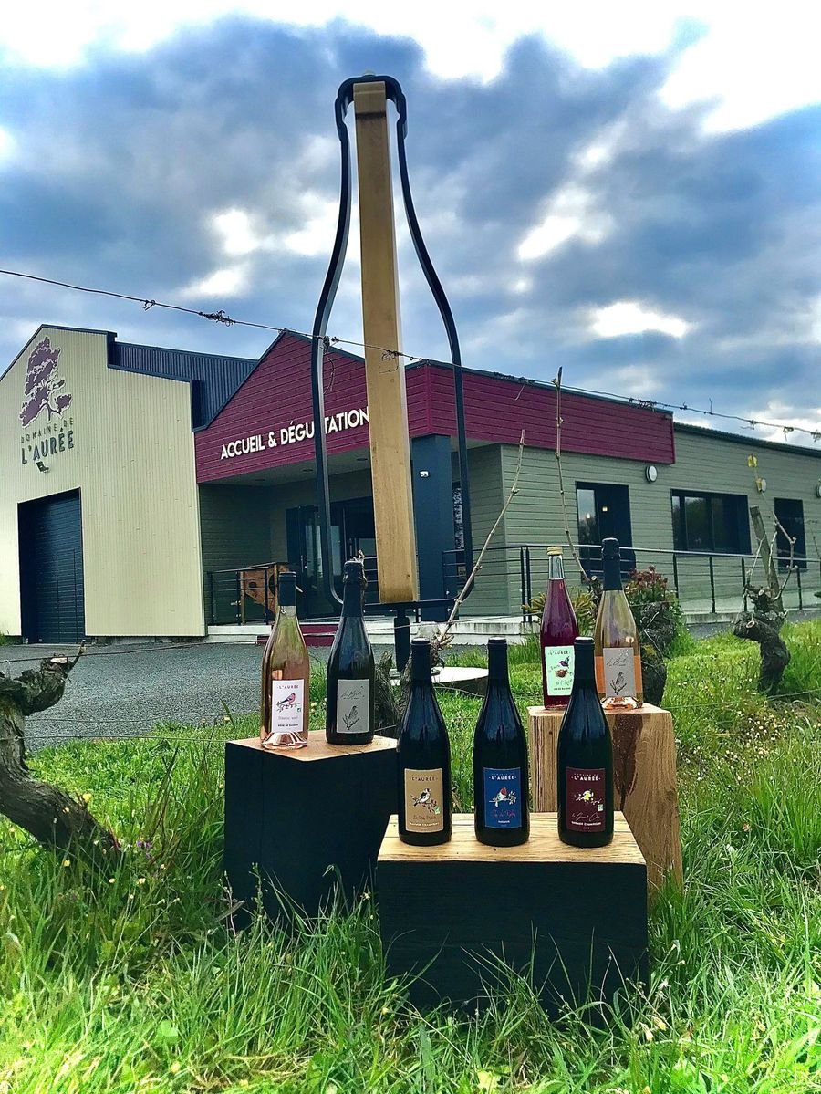 Gamme de vins du Domaine de l'Aurée