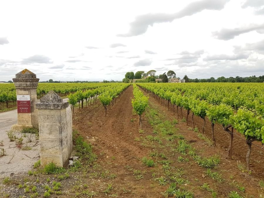 Domaine de Moulines