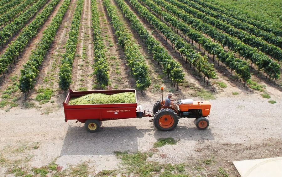 Domaine de Moulines
