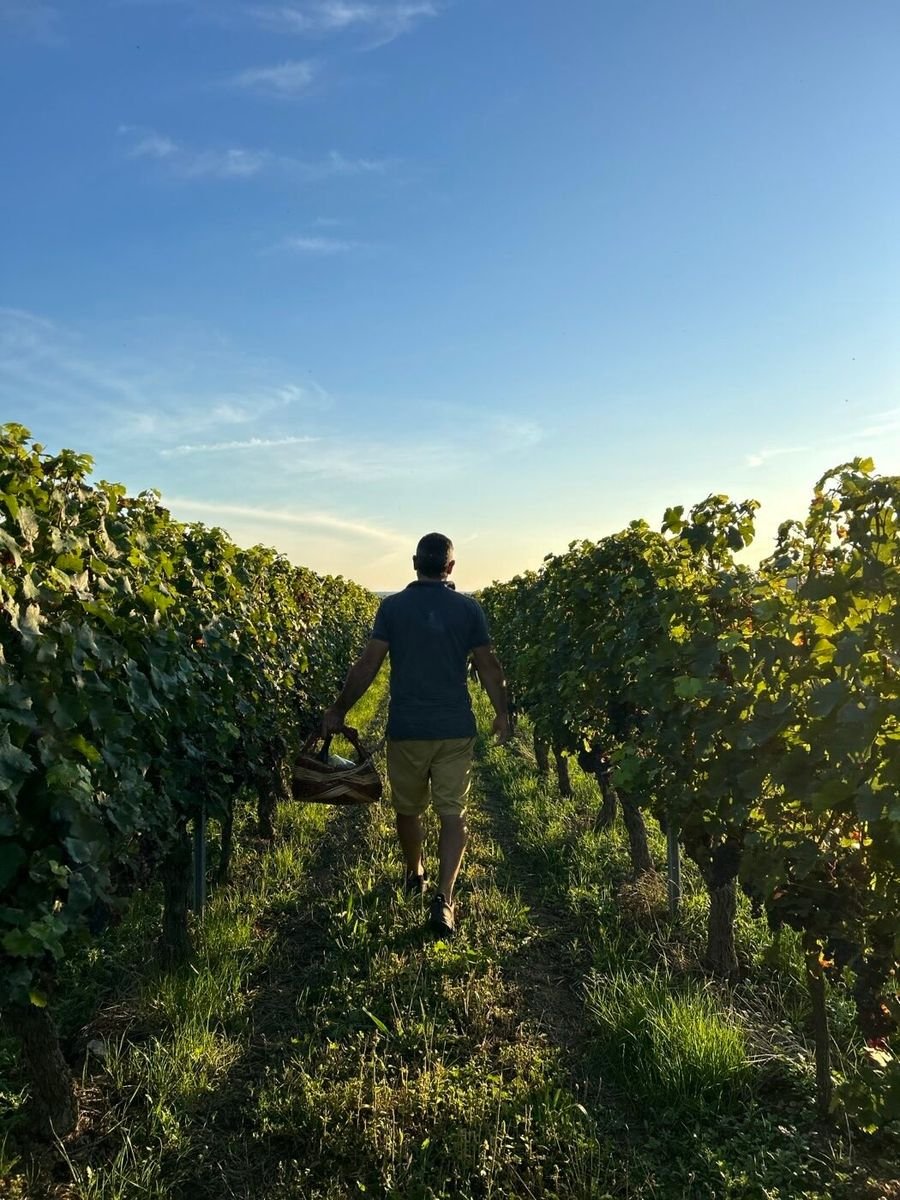 Domaine du Changeon — photo 4