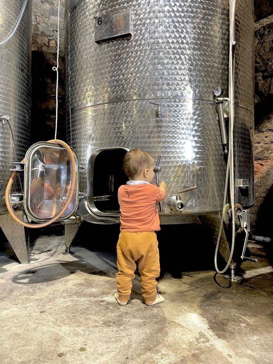 Domaine Régazel — photo 2