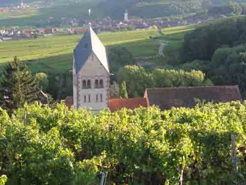 Domaine André Faller - Vin bio et crémant d'Alsace à Itterswiller