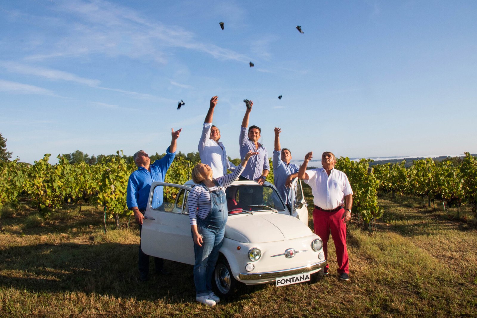 Domaines Fontana - Vin HVE à Gensac, Gironde
