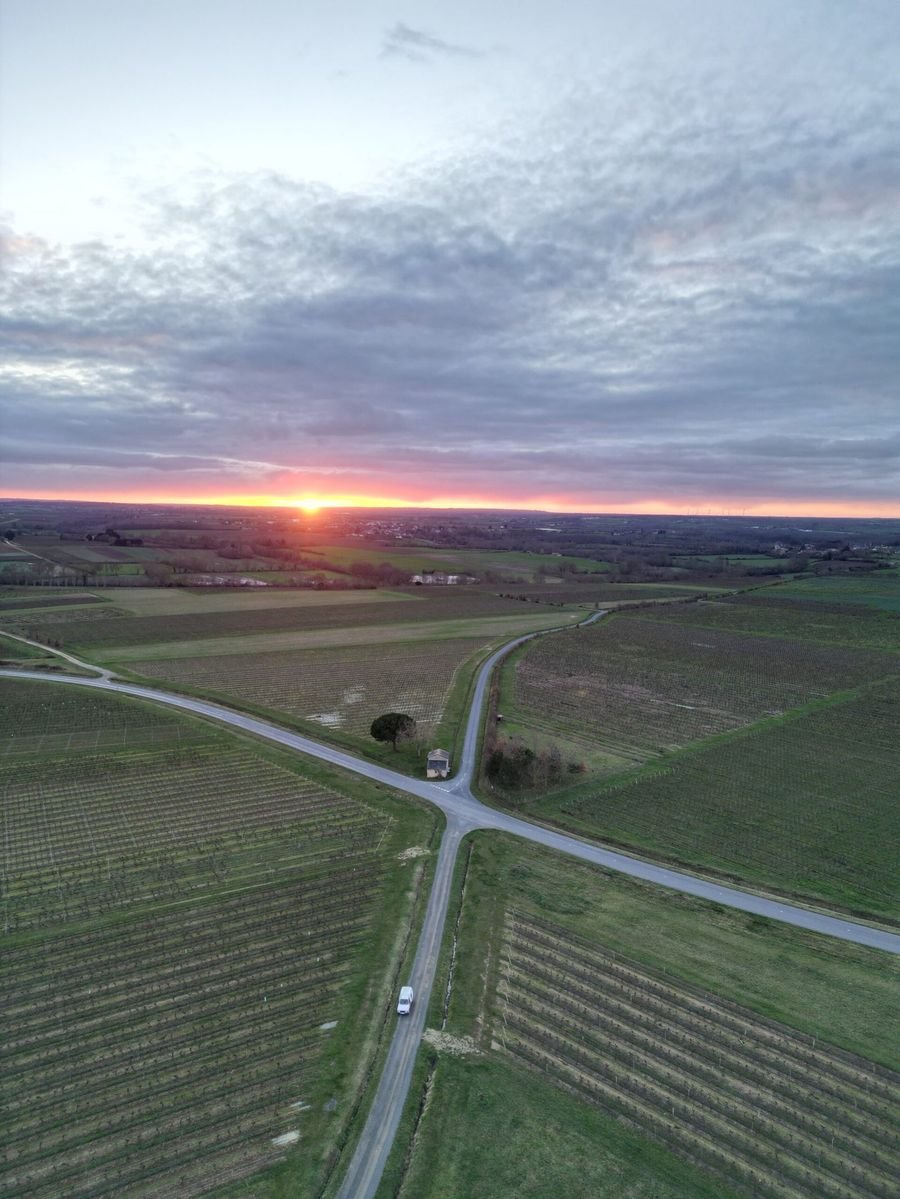 Vignoble David Fourrier - Anjou Terra Vitis