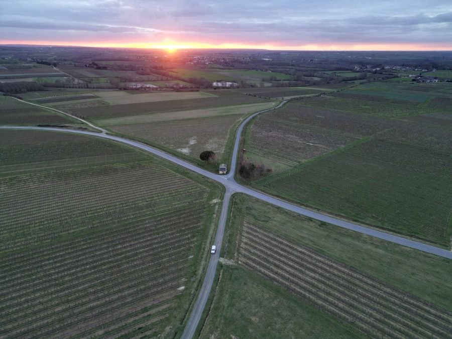 Vignoble David Fourrier - Anjou Terra Vitis