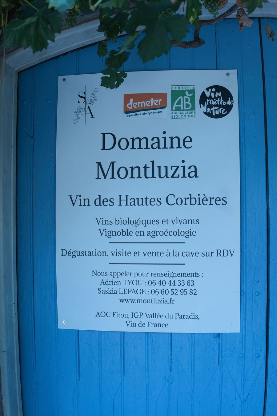 Domaine Montluzia