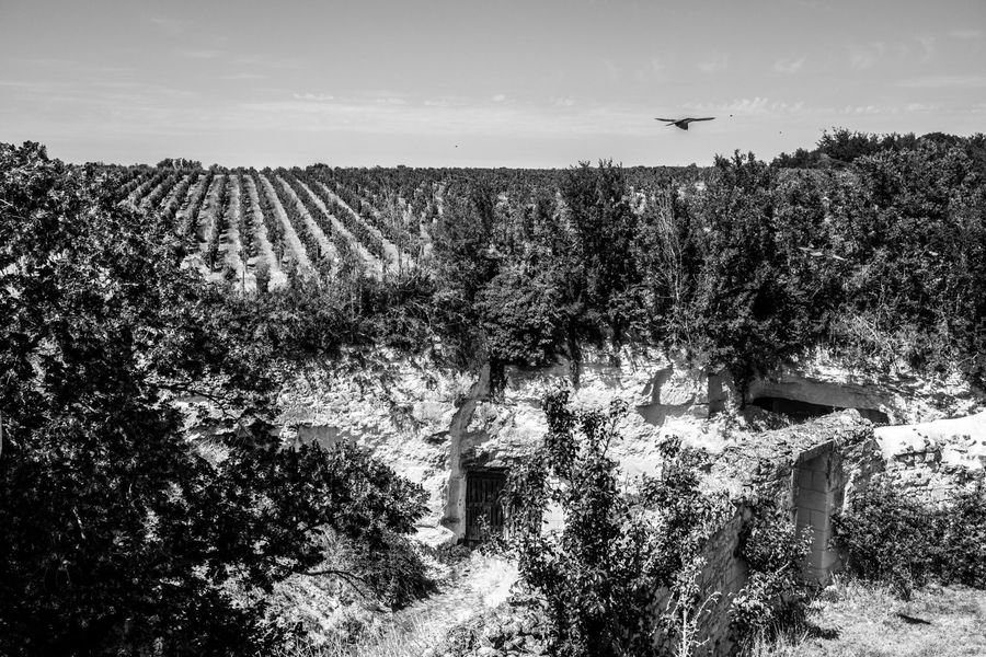La Forteresse de Berrye