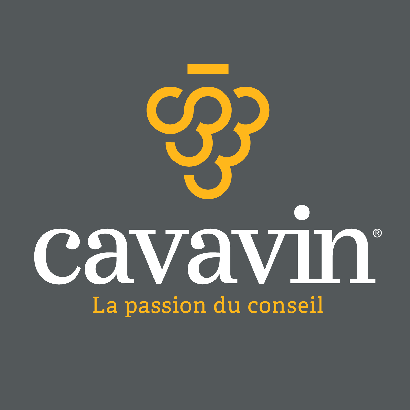 Logo Cavavin Cherbourg