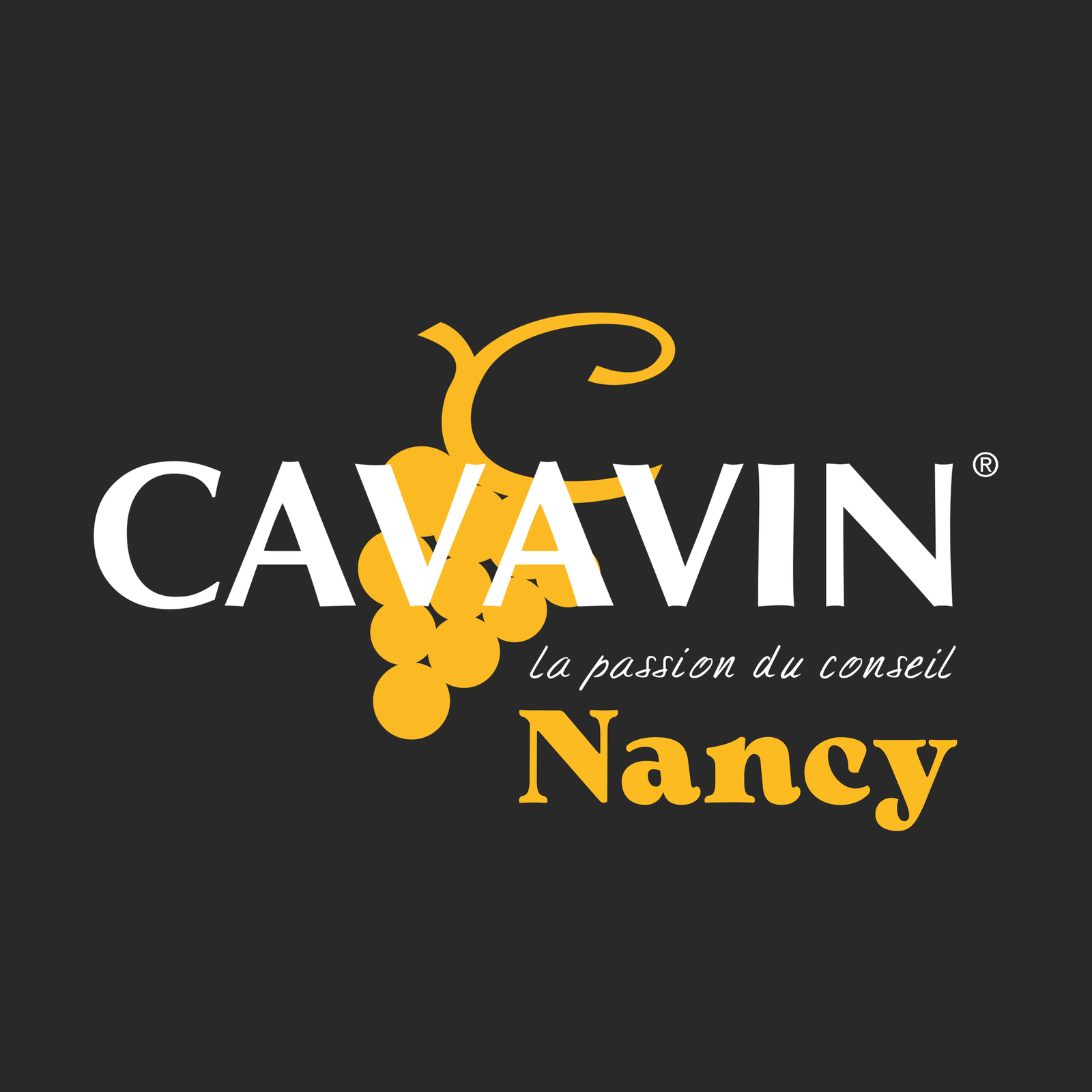 Logo Cavavin Nancy