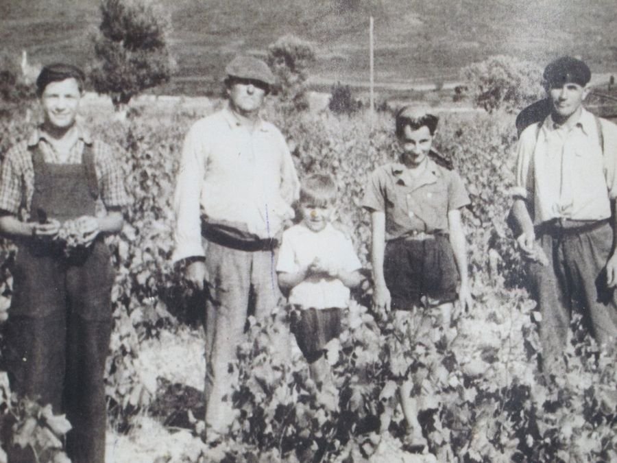 Domaine Sarrat d'en Sol - Vin HVE Corbières Languedoc