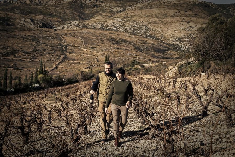 Domaine Sarrat d'en Sol - Vin HVE Corbières Languedoc